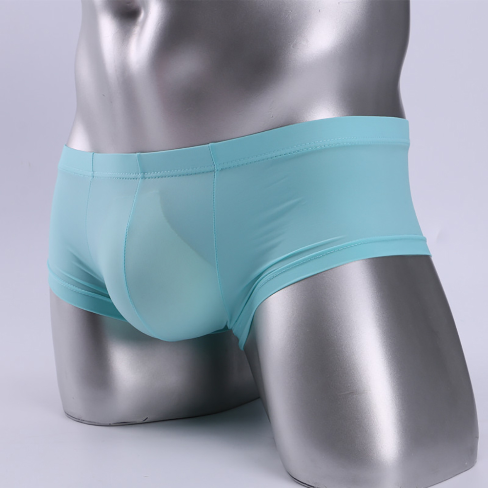 Pouch Boxer Pouch - New Men's Sexy Low-Waist Lightweight Mesh