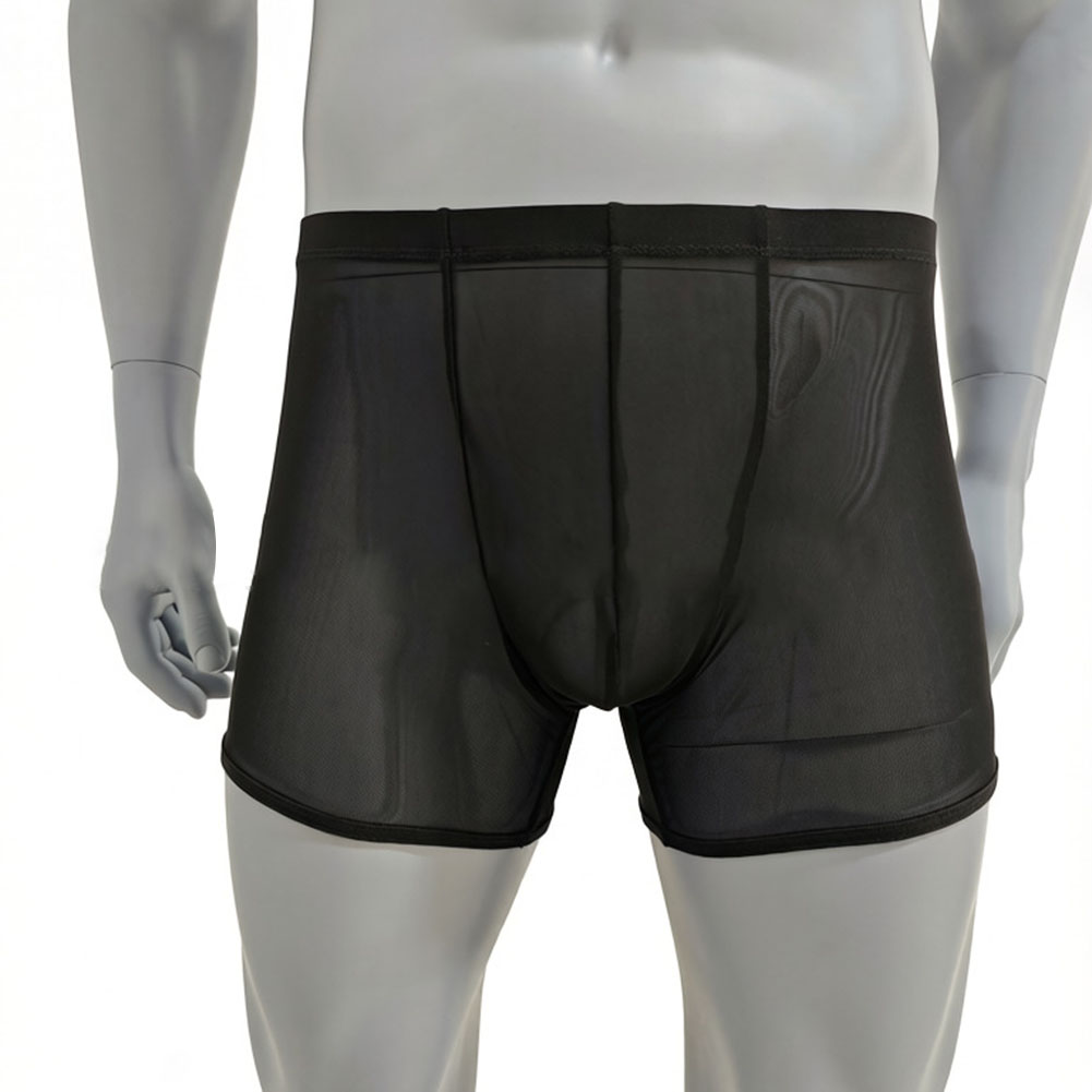 Long Leg Trunk Men - Men Mesh See-through Ultra-thin Boxer Shorts