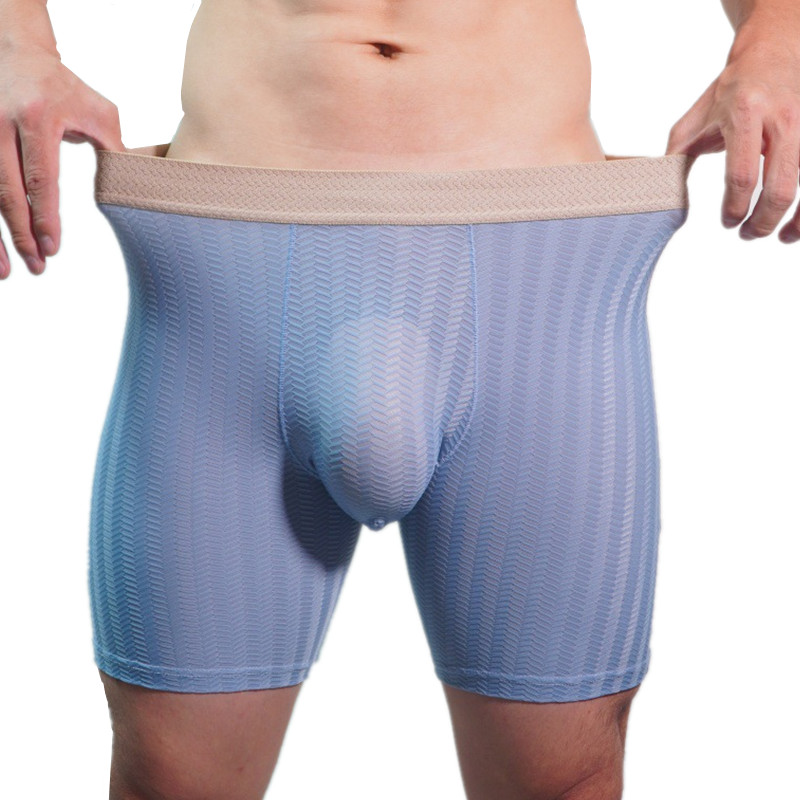 Mens Boxer Shorts Homme Nylon  - đánh giá và giá Long Leg Trunk Men