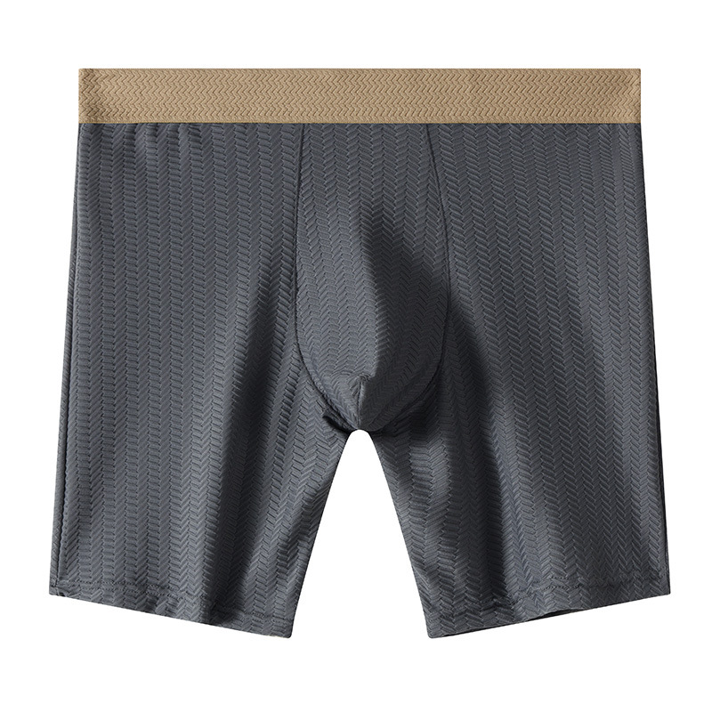 Mens Boxer Shorts Homme Nylon  - đánh giá và giá Long Leg Trunk Men