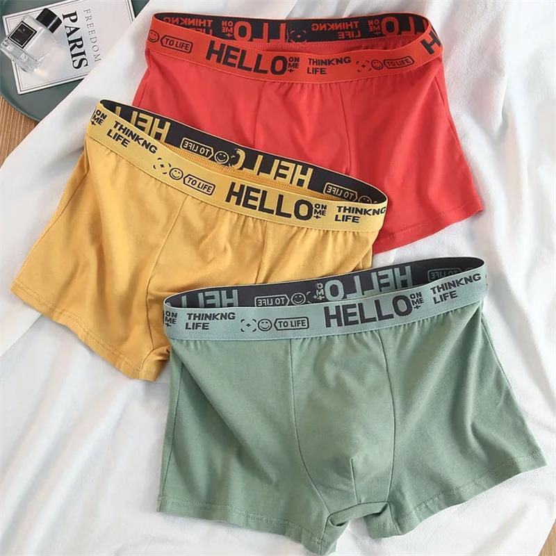 10Pieces/ Men's Underwear Men  - đánh giá và giá Boxer Brief Pack Cotton