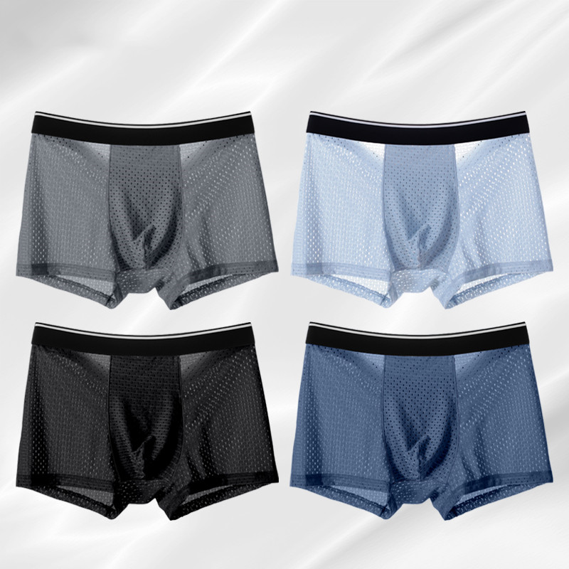8 Cái/lốc Quần Lót Nam Băng Lụ - đánh giá và giá Multi Pack Underwear