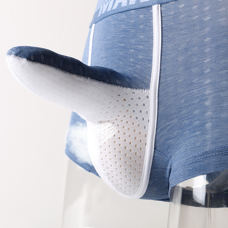 Men's Ice Silk Boxer Briefs, B - đánh giá và giá Mesh Sport Boxer