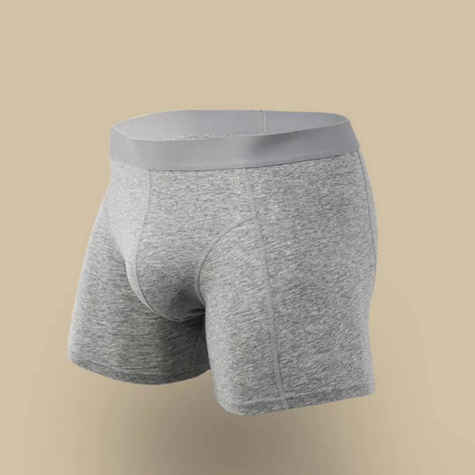 Men’s Total Support Pouch Boxe - đánh giá và giá Long Leg Trunk Men
