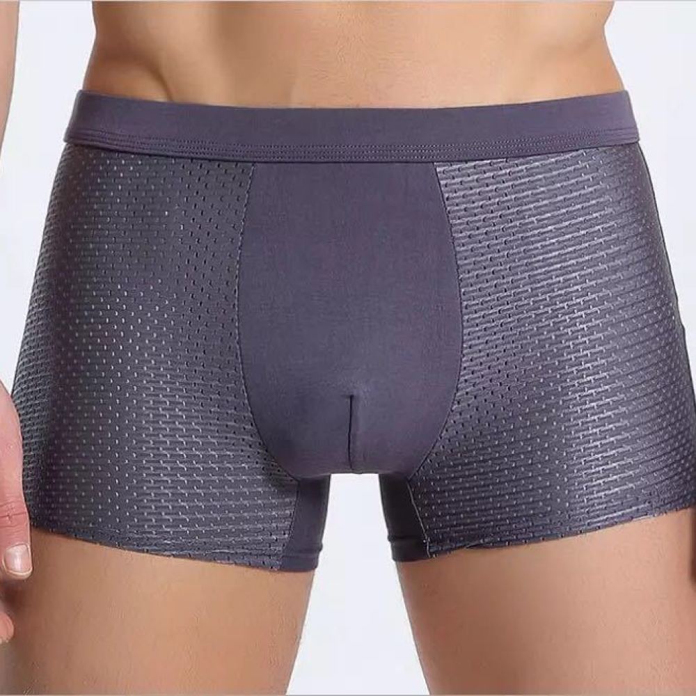 Trunks Mens Underwear Ice Silk - đánh giá và giá Mesh Sport Boxer