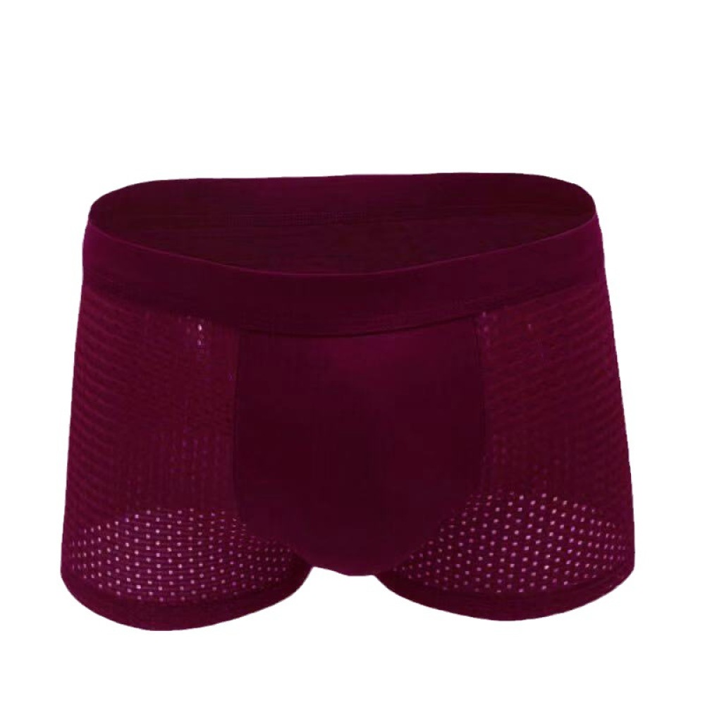 Trunks Mens Underwear Ice Silk - đánh giá và giá Mesh Sport Boxer