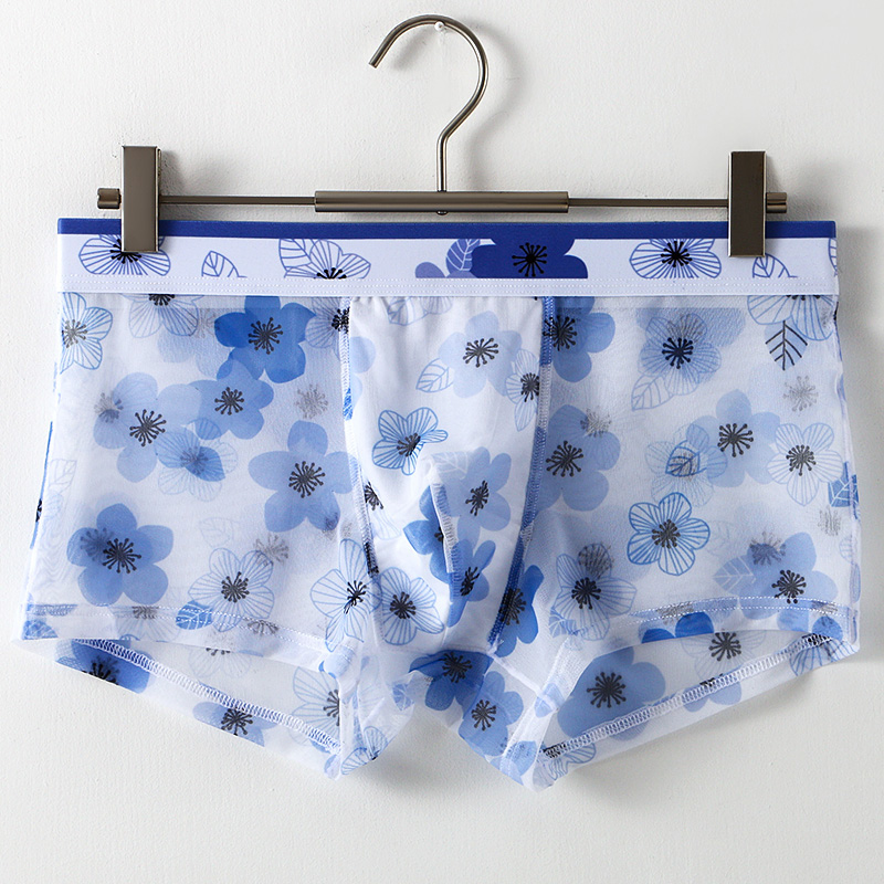 Ultra Thin Transparent Ice Sil - đánh giá và giá Mesh Sport Boxer