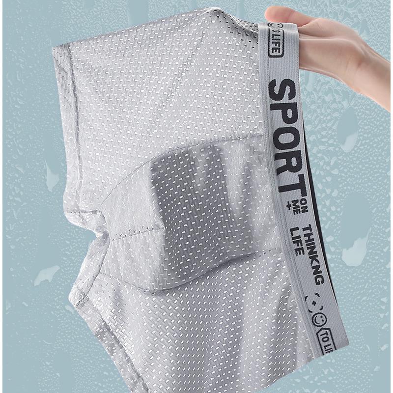 5PCS Men's Ice Silk Mesh Boxer - đánh giá và giá Mesh Sport Boxer