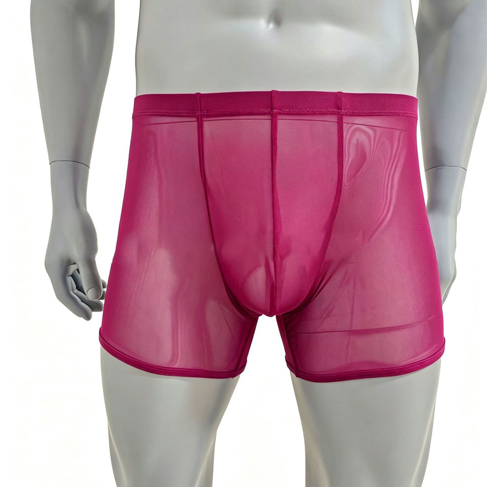 Men Mesh See-through Ultra-thi - đánh giá và giá Long Leg Trunk Men