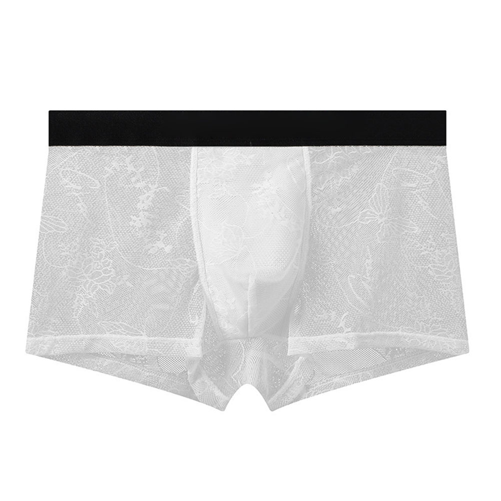 Men's Ice Silk Mesh Lace Boxer - đánh giá và giá Pouch Boxer Pouch