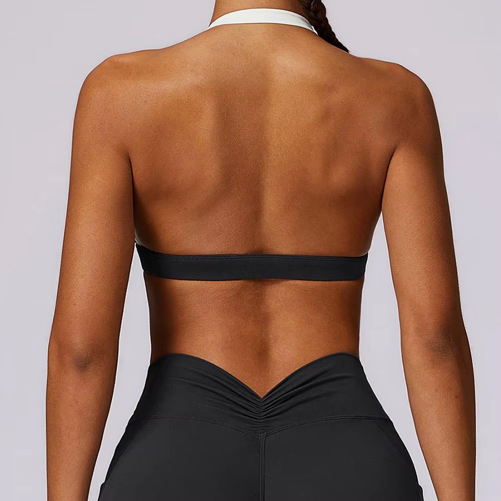 Sexy Scrunch Sports Bra Gym To - đánh giá và giá Quick Dry Underwear
