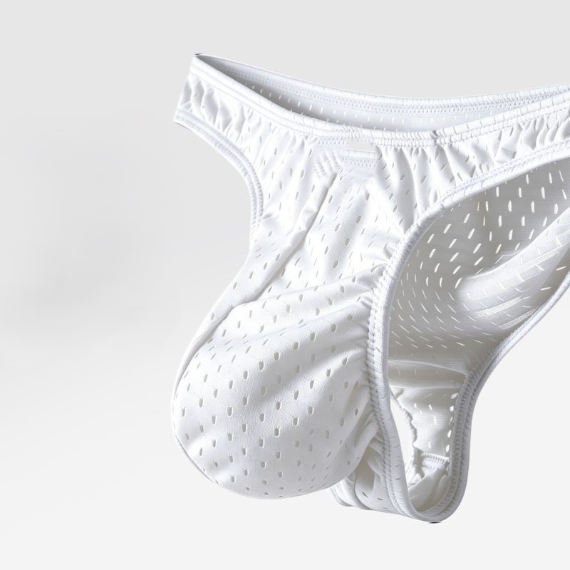 Mesh Ice Silk Men's Underwear  - đánh giá và giá Mesh Sport Boxer