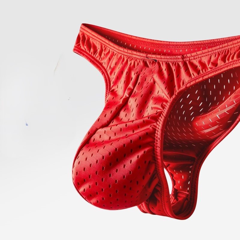 Mesh Ice Silk Men's Underwear  - đánh giá và giá Mesh Sport Boxer