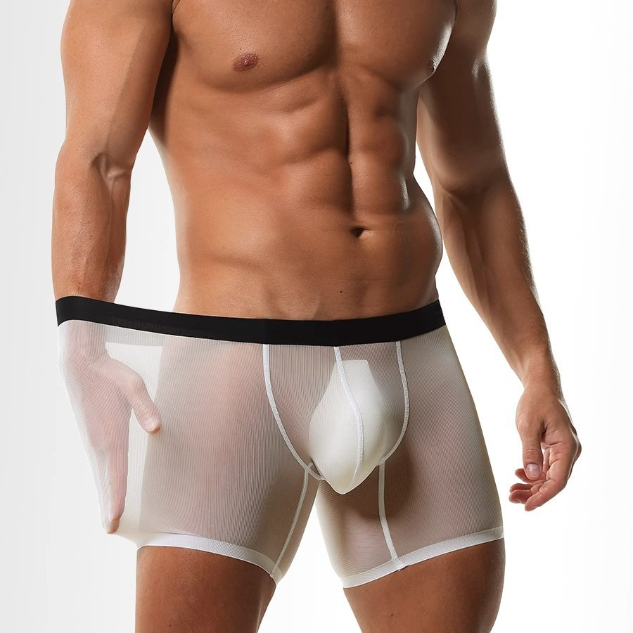 Ice Silk Sheer Mesh Long Leg B - đánh giá và giá Long Leg Trunk Men