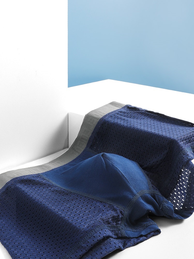 Men's underwear Men's boxers s - đánh giá và giá Mesh Sport Boxer
