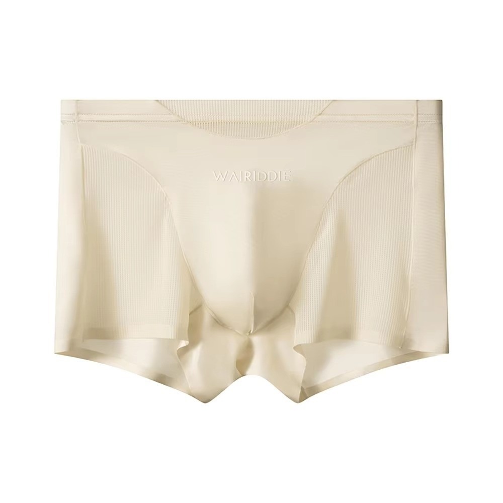Simple Mesh Ice Silk Underwear - đánh giá và giá Mesh Sport Boxer