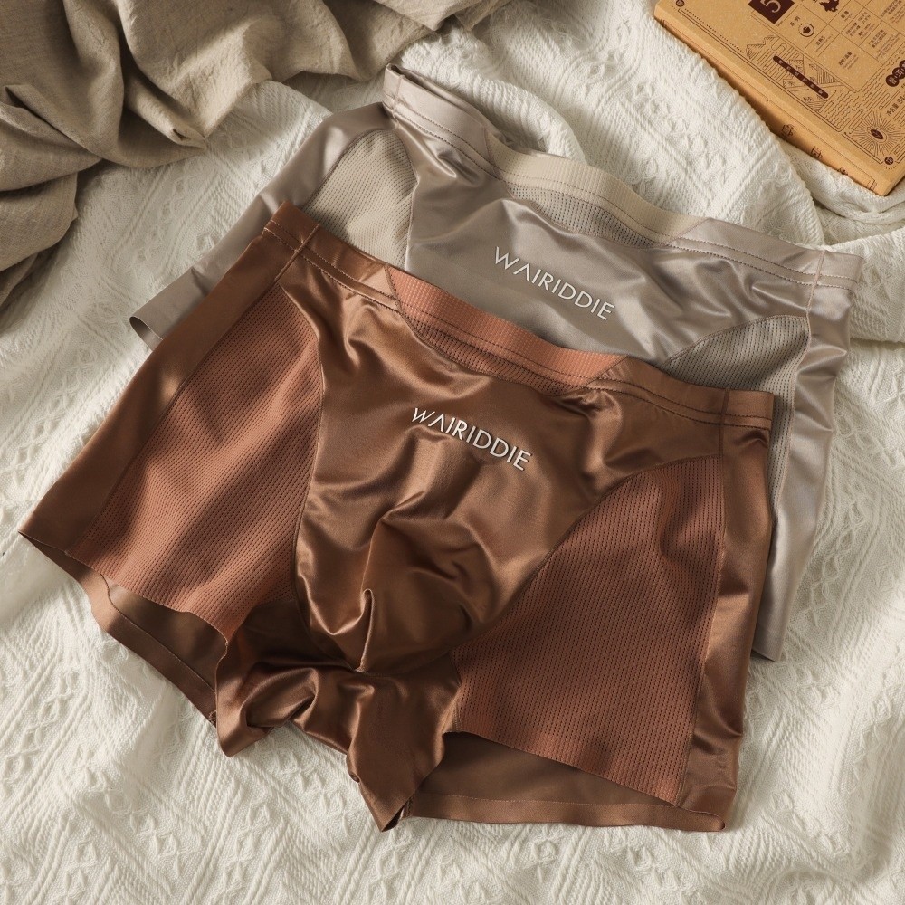 Simple Mesh Ice Silk Underwear - đánh giá và giá Mesh Sport Boxer